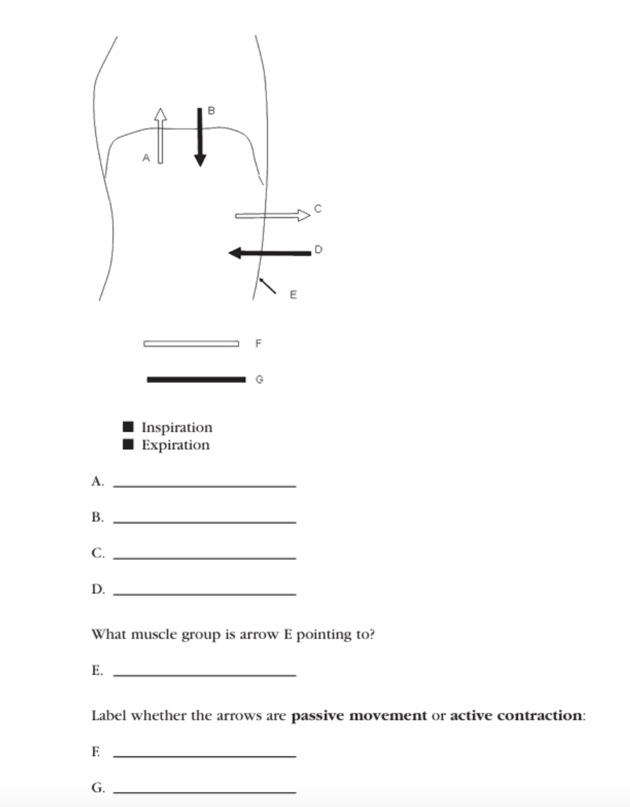 <p>C</p>