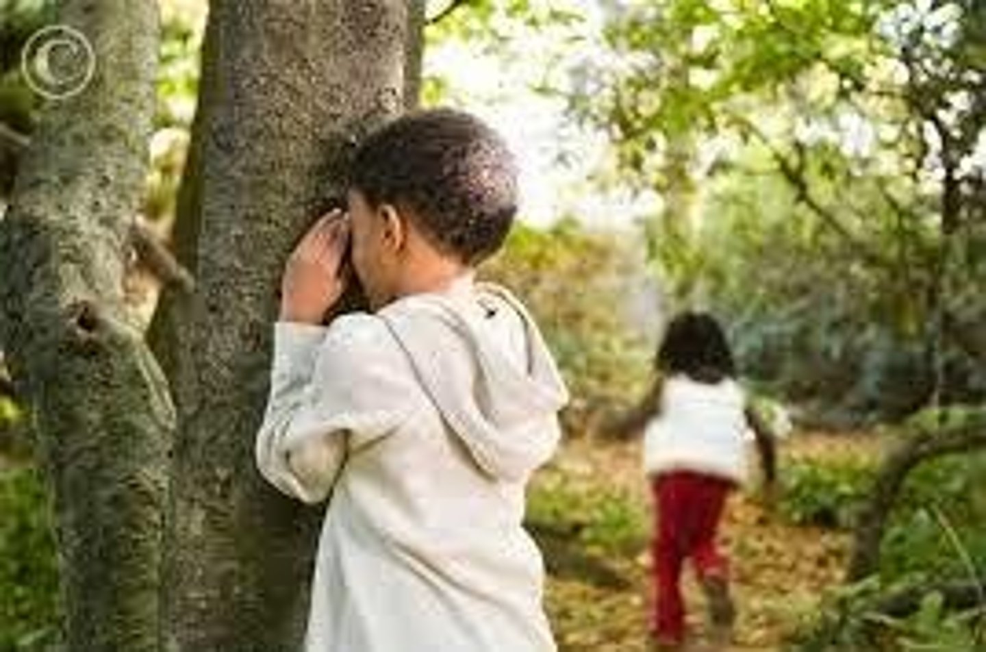 <p>to hide</p>