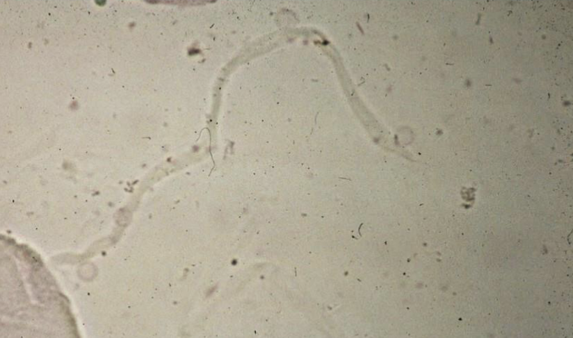 <p>What is this?</p>