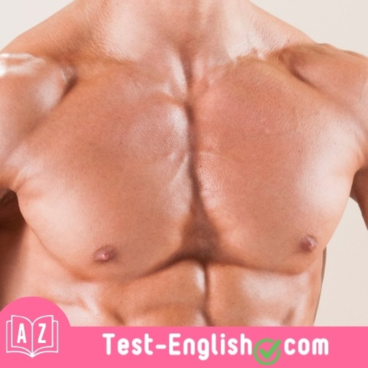 <p>Jim's _____ have grown since he started going to the gym.</p>