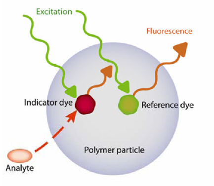 <p></p><ul><li><p>Based on the entrapment of fluorophores in an inert polymer matrix</p></li><li><p>Matrix protects sensor from cellular matrix (proteins) giving a false +ve and allows cytotoxic reporter molecules to be used</p></li><li><p>20-200nm radius (1 ppb of cell vol.)</p></li><li><p>Cell Viability 97% - minimal cell toxicity</p></li><li><p>Response Time &lt; 1 ms</p></li><li><p>H+, Ca2+, K+, Na+, Mg2+,Cl-, NO2, O2, NO, Glucose</p></li></ul><p></p>