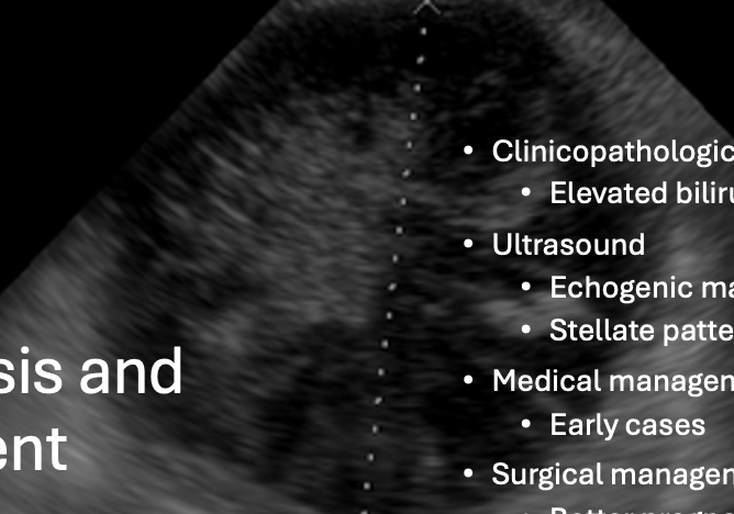 <p>- Clinicopathologic abnormalities: Elevated bili, ALP, ALT, and AST</p><p>- US: Non-dependent echogenic material in a stellate pattern (looks like a kiwi)</p>