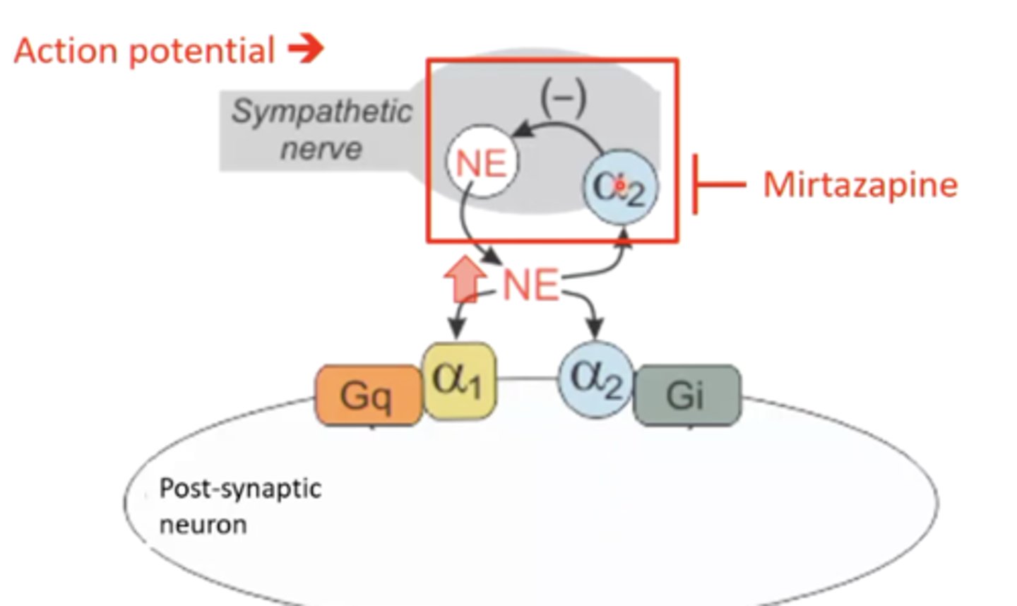 <p>5-HT2 antagonist/a2 antagonist/H1 antagonist </p><p>seems counterintuitive to treat depression because it reduces serotonin levels, but it's mechanism is not really clear - could be due to a2 antagonism, which increases norepinephrine </p>