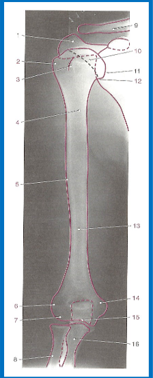 <p>label 1-16 accordingly </p>