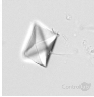 <p>qué cristal es</p>