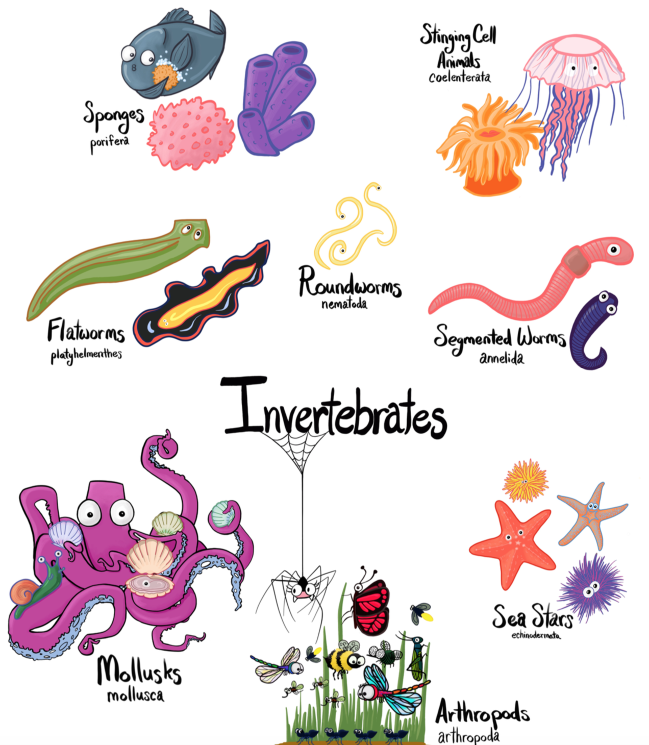 <p>invertebrate</p>