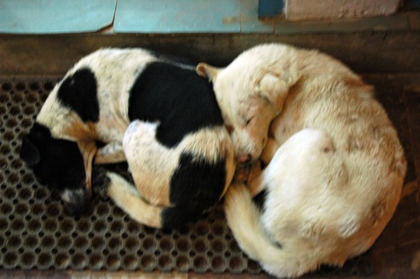 <p>Beside Beyond around abnormal</p>