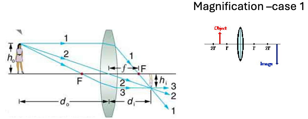 <p>explain magnification case 1, d0, di, focal length (and eqn), magnification</p>