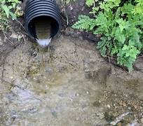 <p>Drainage</p>