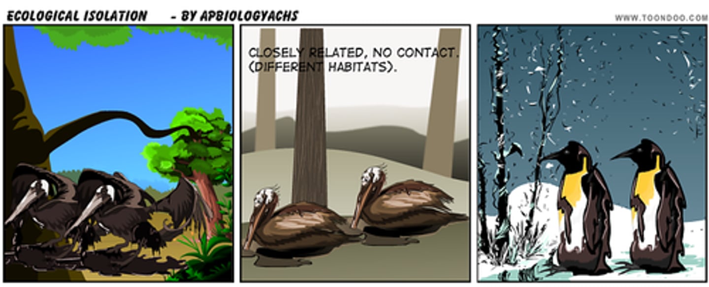 <p>Form of reproductive Isolation in which species occur in the same area, but they occupy different habitats and rarely encounter each other</p>