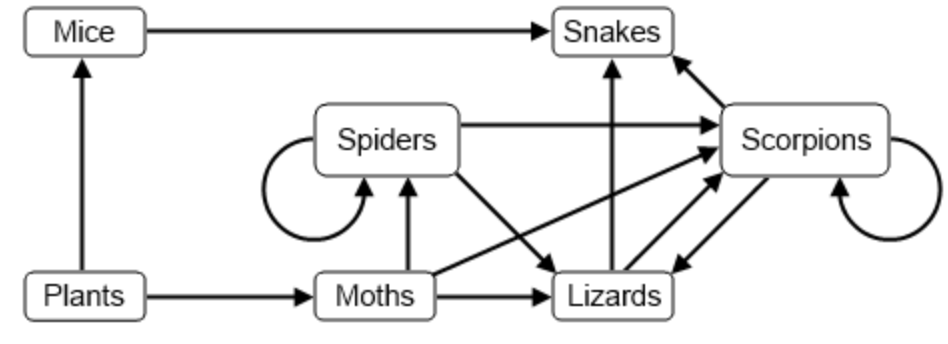 <p>Examine the following desert food web.</p><p></p><p>(photo)</p><p></p><p>What would happen to the flow of energy if all the mice were removed?</p>