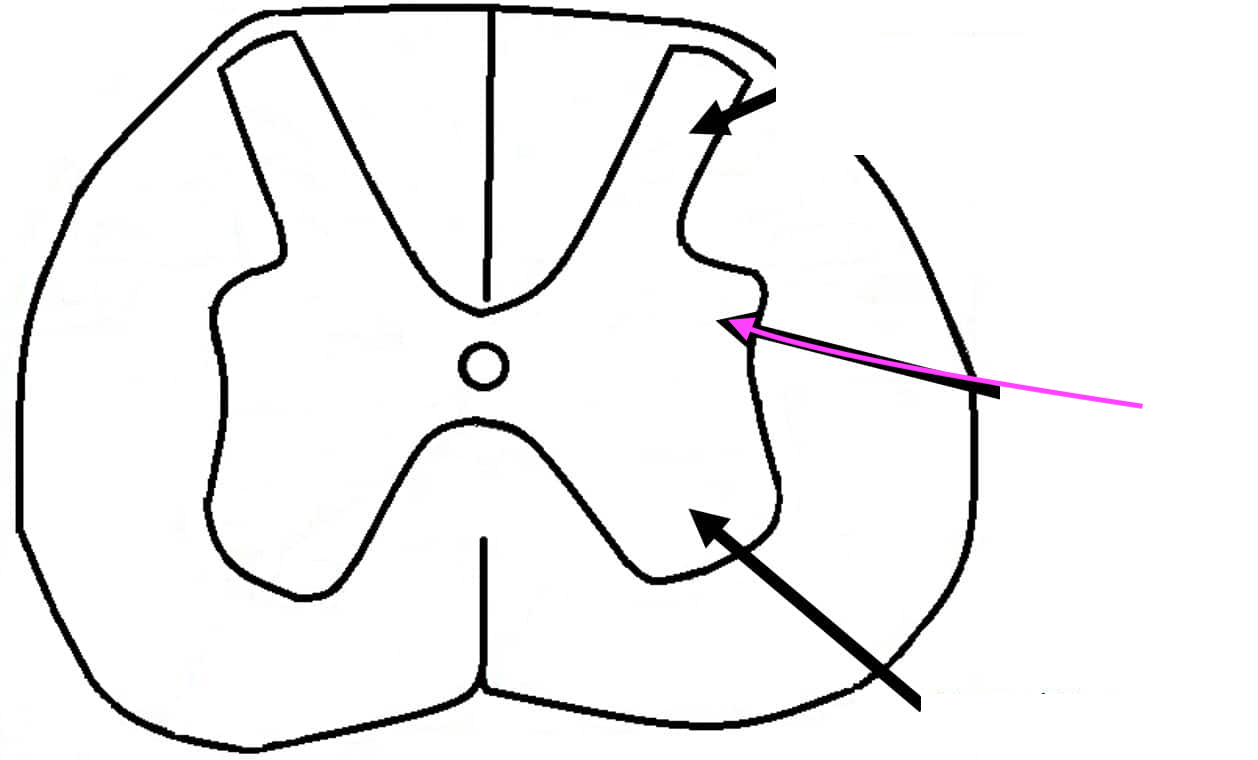 <p>What is this feature? Is it S or M?</p>