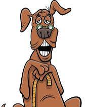 <p>Old</p><p>My dog was old </p>