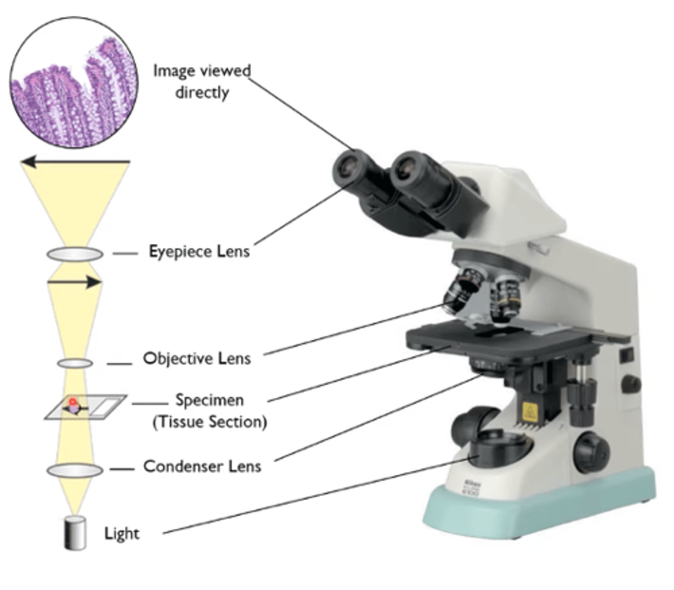 <ul><li><p>Has a numerical aperture value that contributes to resolution.</p></li></ul><p></p>