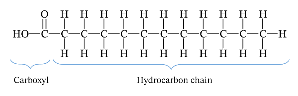 <p>carbon to carbon single bonds; more solid in room temperature</p>