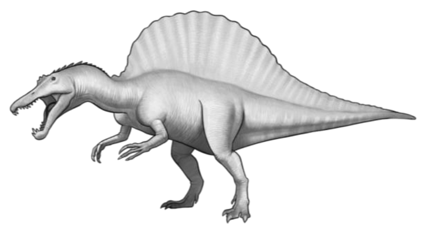 <p>Spinosaur</p>