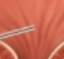 <p>what is this?</p>
