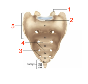 <p>what is #3</p>