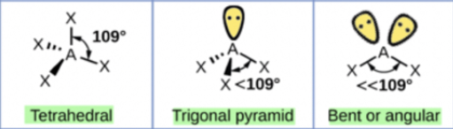 <p>Tetrahedral:</p><ul><li><p>Minimum repulsion between 4 electron groups occurs when they are as far apart as possible around the central C atom</p></li><li><p>109 degree bond angles</p></li><li><p>Example: CH4</p></li></ul><p></p><p>Trigonal pyramidal:</p><ul><li><p>One or more of the electron groups are lone pairs of electrons so the central atom is only attached to two or three atoms</p></li><li><p>Example: NH3</p></li><li><p>One of the 4 electron groups in NH3 is a lone pair so the shape is determined by the H atoms bonded to the central N atom</p></li><li><p>Bond angle of 109 degrees</p></li></ul><p></p><p>Bent:</p><ul><li><p>Example: H2O</p></li><li><p>4 electron groups with 2 of them being lone pairs</p></li><li><p>Shape of H2O is determined by the two H atoms bonded to the central O atom so the shape of H2O is bent </p></li><li><p>Bond angle of 109 degrees</p></li></ul><p></p>
