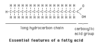 <p>Long chain carboxylic acids R-COOH.</p><p>They are different, allowing for different fats and oils.</p><ul><li><p>The length of their hydrocarbon chain: the most abundant fatty acids have an even number of carbon atoms with chains between 12 and 22 carbon atoms long.</p></li><li><p>The number and position of carbon-carbon double bonds in the hydrocarbon chain</p><ul><li><p>fatty acids with no double bonds are said to be <strong>saturated</strong></p></li><li><p>fatty acids with a single double bond are described as <strong>mono-saturated</strong></p></li><li><p>fatty acids with several double bonds are descrbed as <strong>poly-saturated</strong></p></li></ul></li></ul>