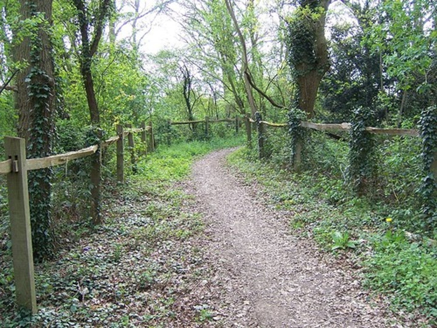 <p>Way, path</p>