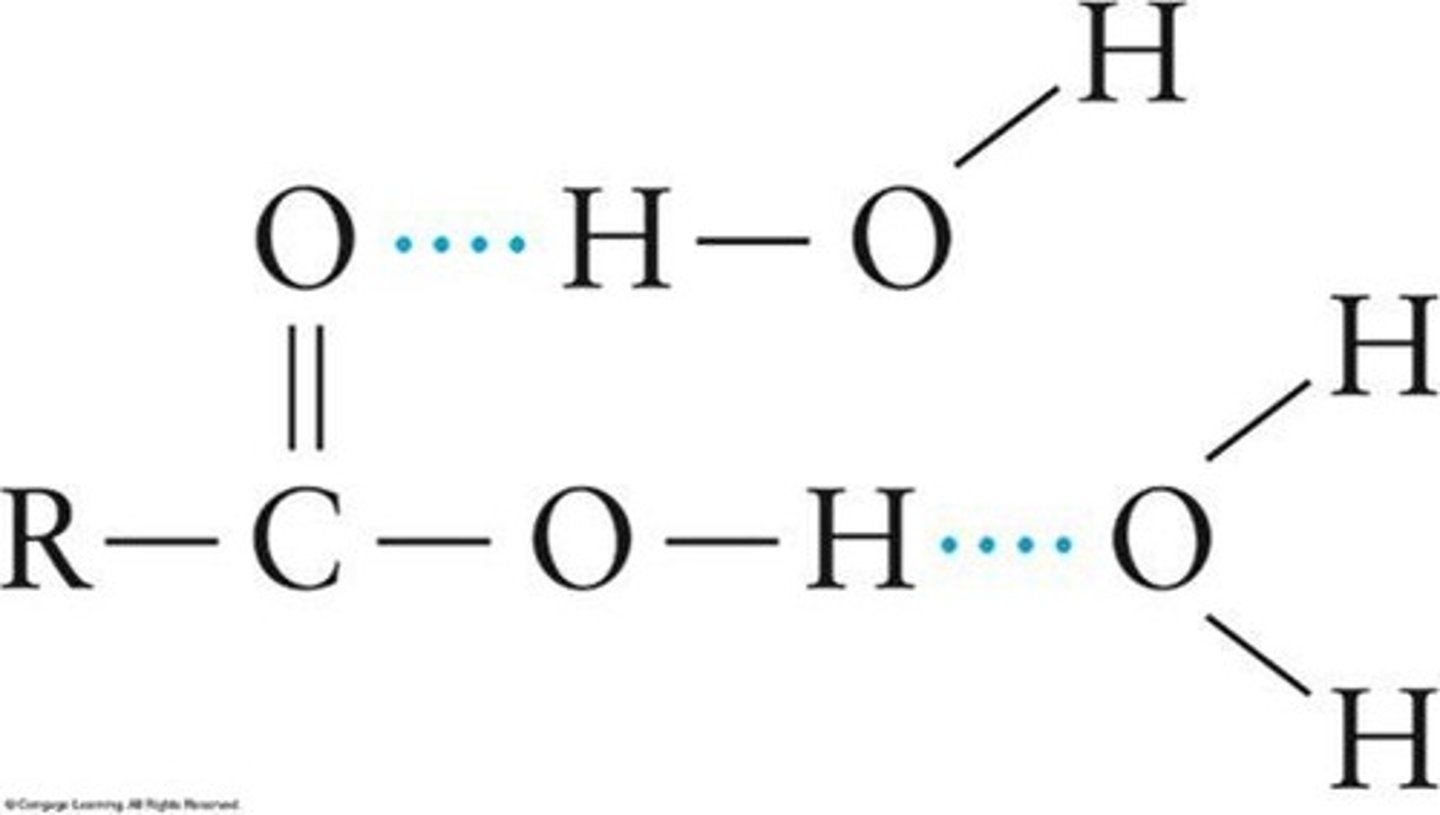 <p>Attraction between hydrogen and electronegative atoms.</p>