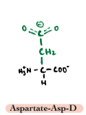 <p>An acidic polar amino acid.</p>