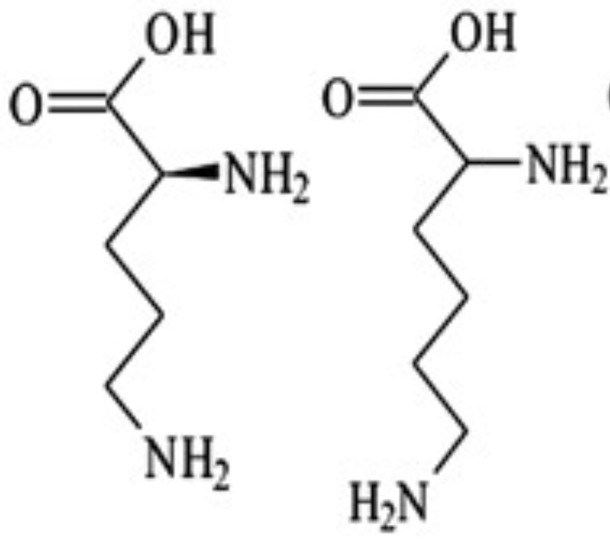 <p>Ornithine is _ with one less carbon</p>