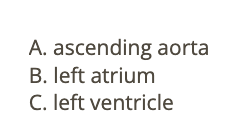 <p>b) left ventricle</p>