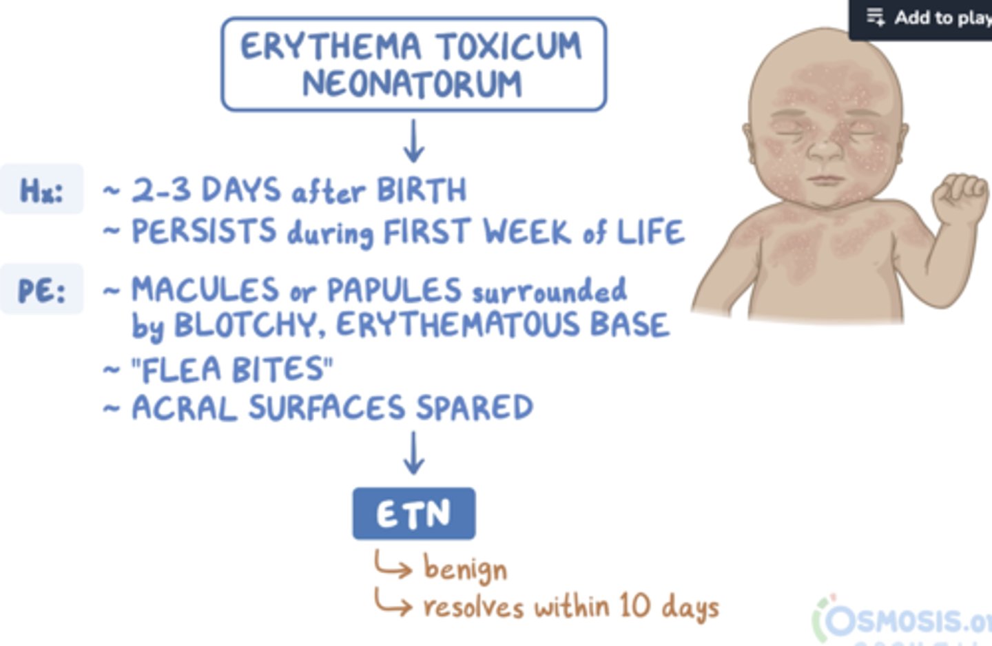 <p>3-5 days of life</p><p>small pustules on erythematous base</p><p>spontaneously resolve</p><p>("NORMAL")</p>
