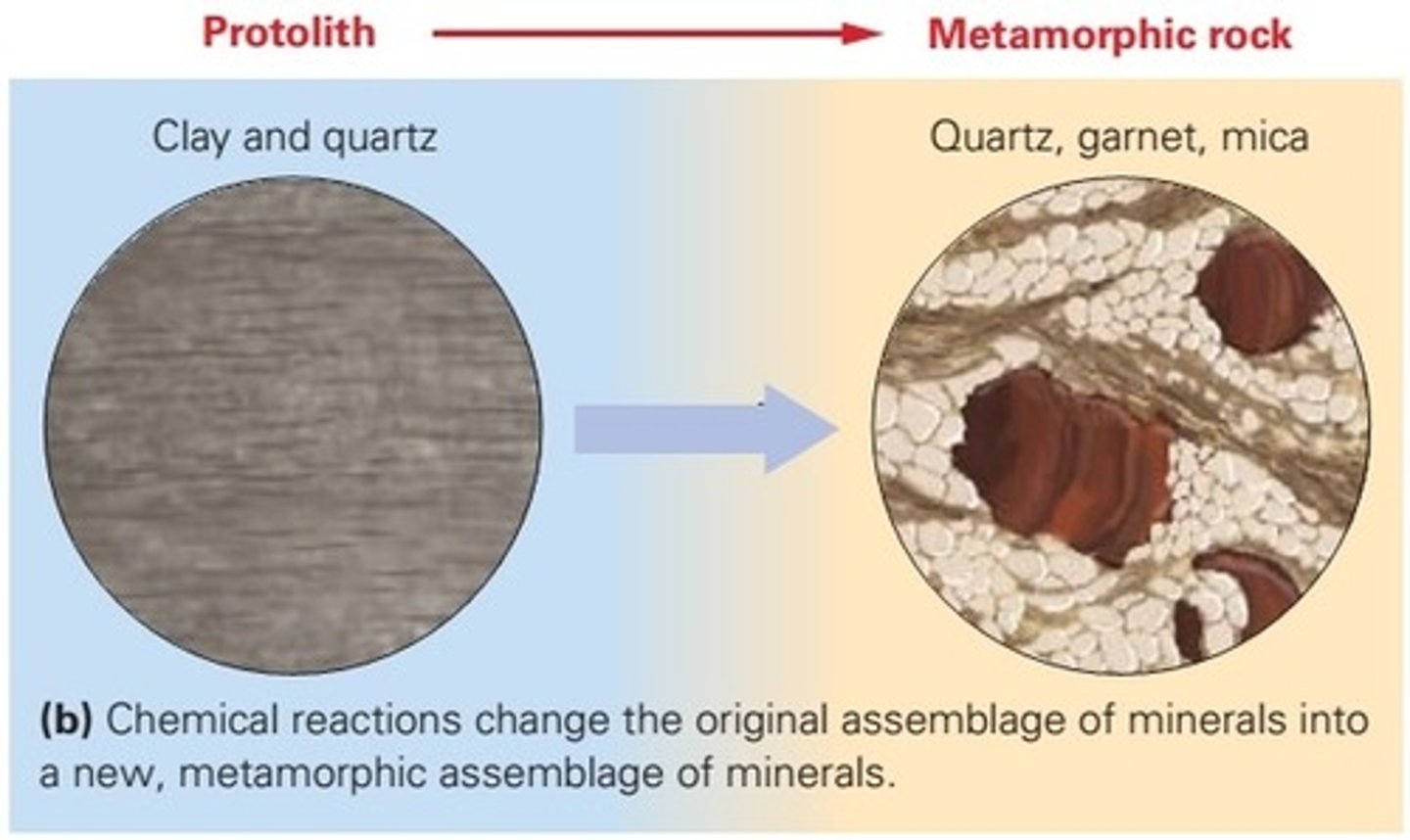 <p>Initial minerals become unstable and change to new minerals, original minerals are digested by chemical reaction</p><p>chemical reactions digest minerals of the protolith to produce new minerals of the metamorphic rock</p>