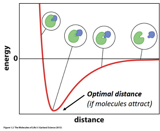 <p>preferred distance for two atoms to interact; equal to the sum of their r<sub>vdw</sub></p>