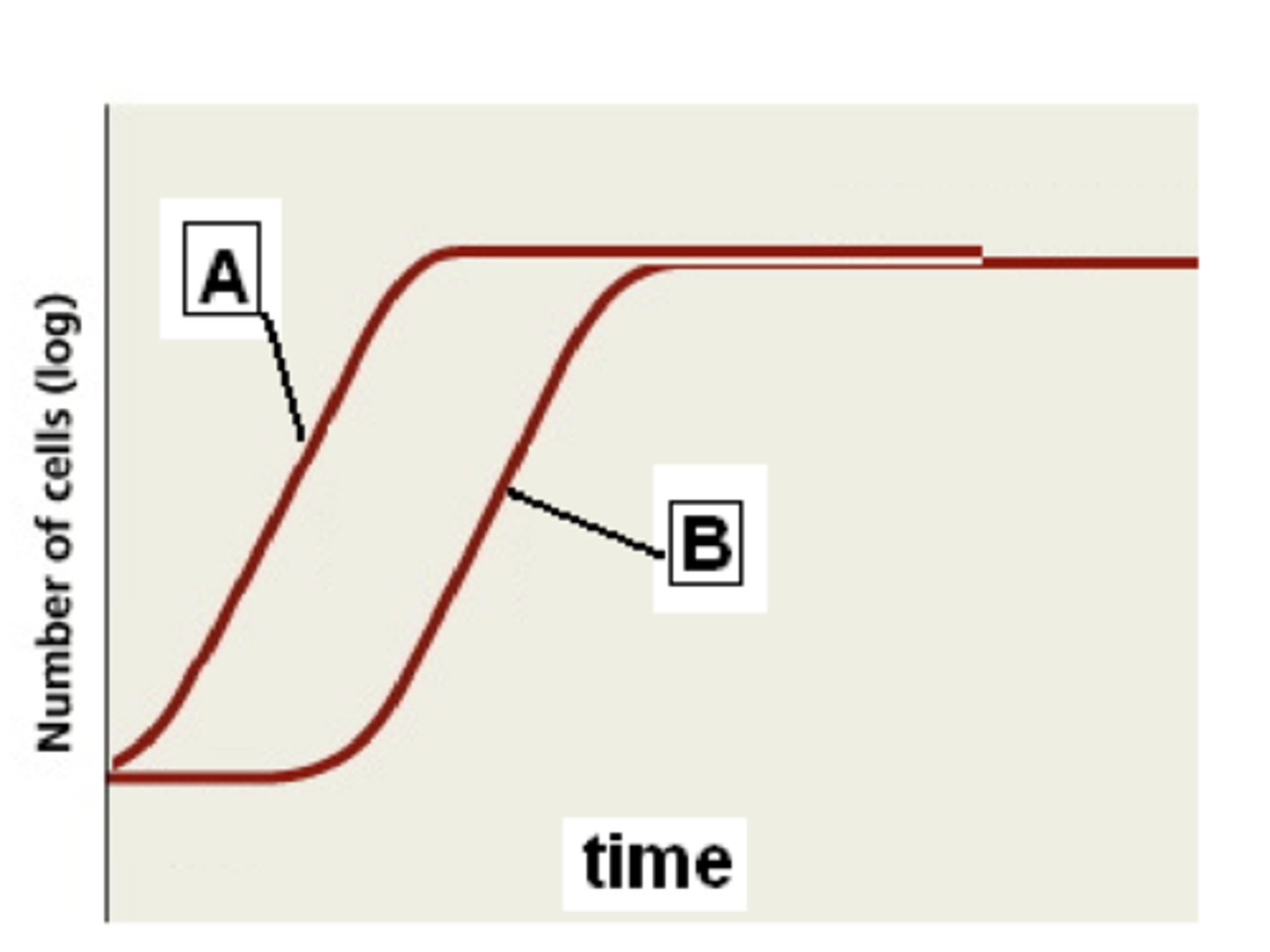 <p>Luciferase reaction</p><p>3 multiple choice options</p>