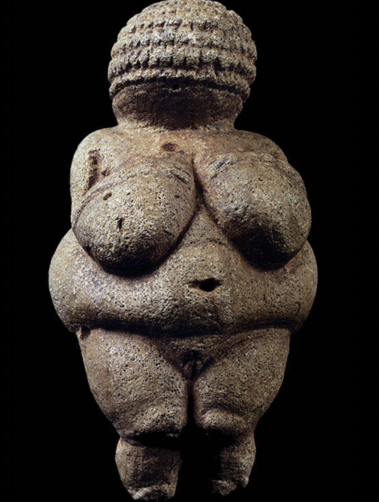 <p>Woman from Willendorf (so-called&nbsp;‘Venus’)</p>