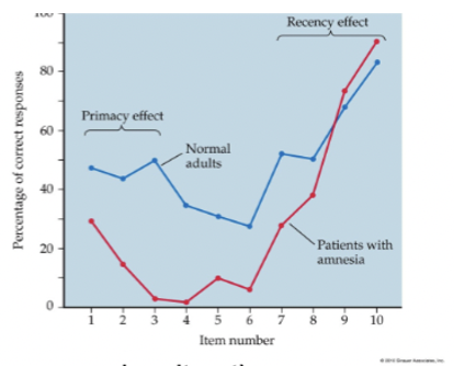 <p>info held for short periods (seconds to hours) while physiological changes for long-term are made</p><ul><li><p>capacity of 7 ± 2 items</p></li><li><p>susceptible to distraction, requires active rehearsal</p></li><li><p>info loss occurs through displacement (something pushes it out) or decay</p></li><li><p>info gets discarded or moves to other memory stage (primacy/recency effect)</p></li></ul><p></p>