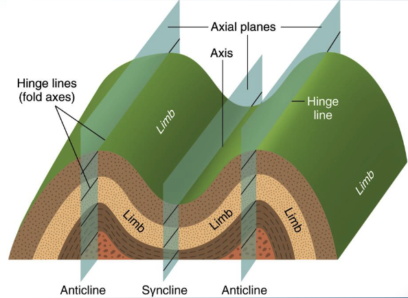 <ul><li><p>are geologic structures generated by a compressive stress</p></li><li><p>fold axis</p></li><li><p>axial plane</p></li><li><p>limbs </p></li></ul><p></p>