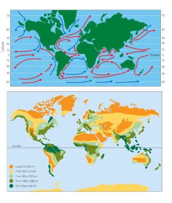 <p><span style="color: rgb(255, 249, 249);">• Climate is the part of the physical (abiotic) environment having the greatest impact on organisms<br>– Weather = combination of temperature, humidity, precipitation, wind, cloudiness at a specific place and time<br>– Climate = long-term average pattern of weather<br>• Earth’s atmosphere intercepts solar radiation &amp; Earth’s rotation and movement<br>generate prevailing wind &amp; ocean currents<br>→ generates global weather patterns<br>→ results in environmental heterogeneity(=variability in abiotic factors across<br>space)</span></p>