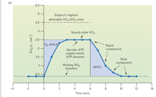 Magnitude and duration of EPOC are influenced by intensity of exercise