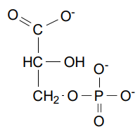 <p>3-Phosphoglycerate &amp; 2 ATP!!</p>