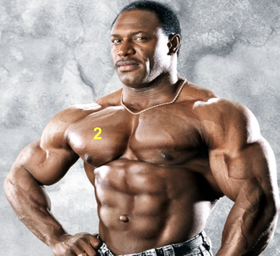<p>What muscle is indicated by “2”?</p>
