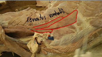 <p></p>