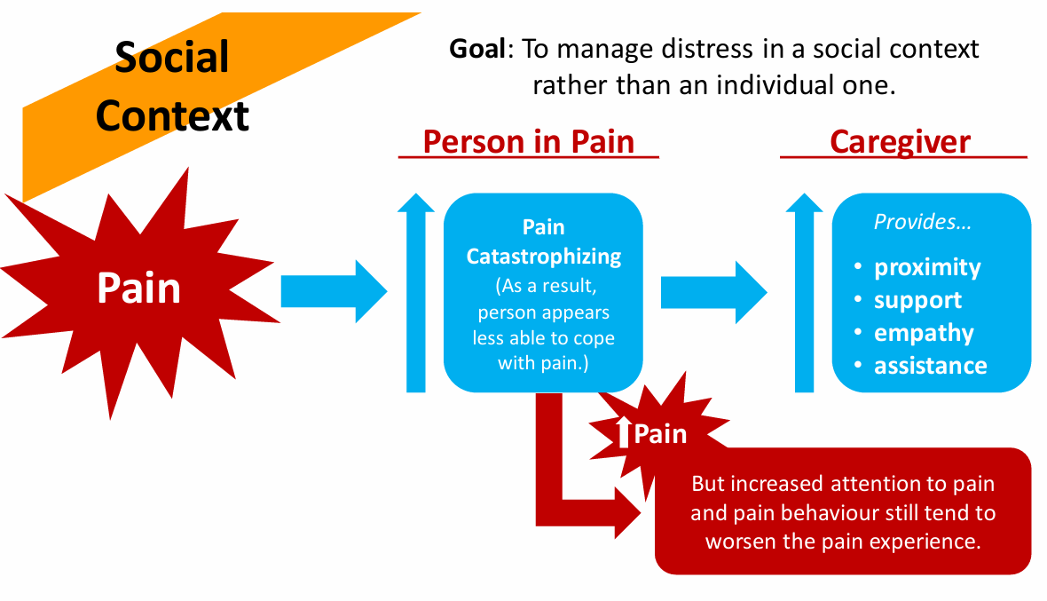 <p>in a social context…</p><p>pain → person in pain: pain catastrophizing → more pain</p><p>caregiver provides…</p><ul><li><p>proximity</p></li><li><p>support</p></li><li><p>empathy</p></li><li><p>assistance</p></li></ul><p></p>