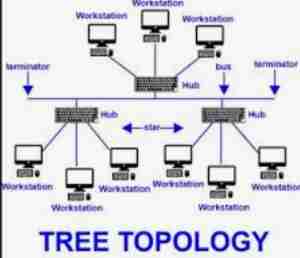 <p>Hybrid of Bus &amp; Star Topology</p>