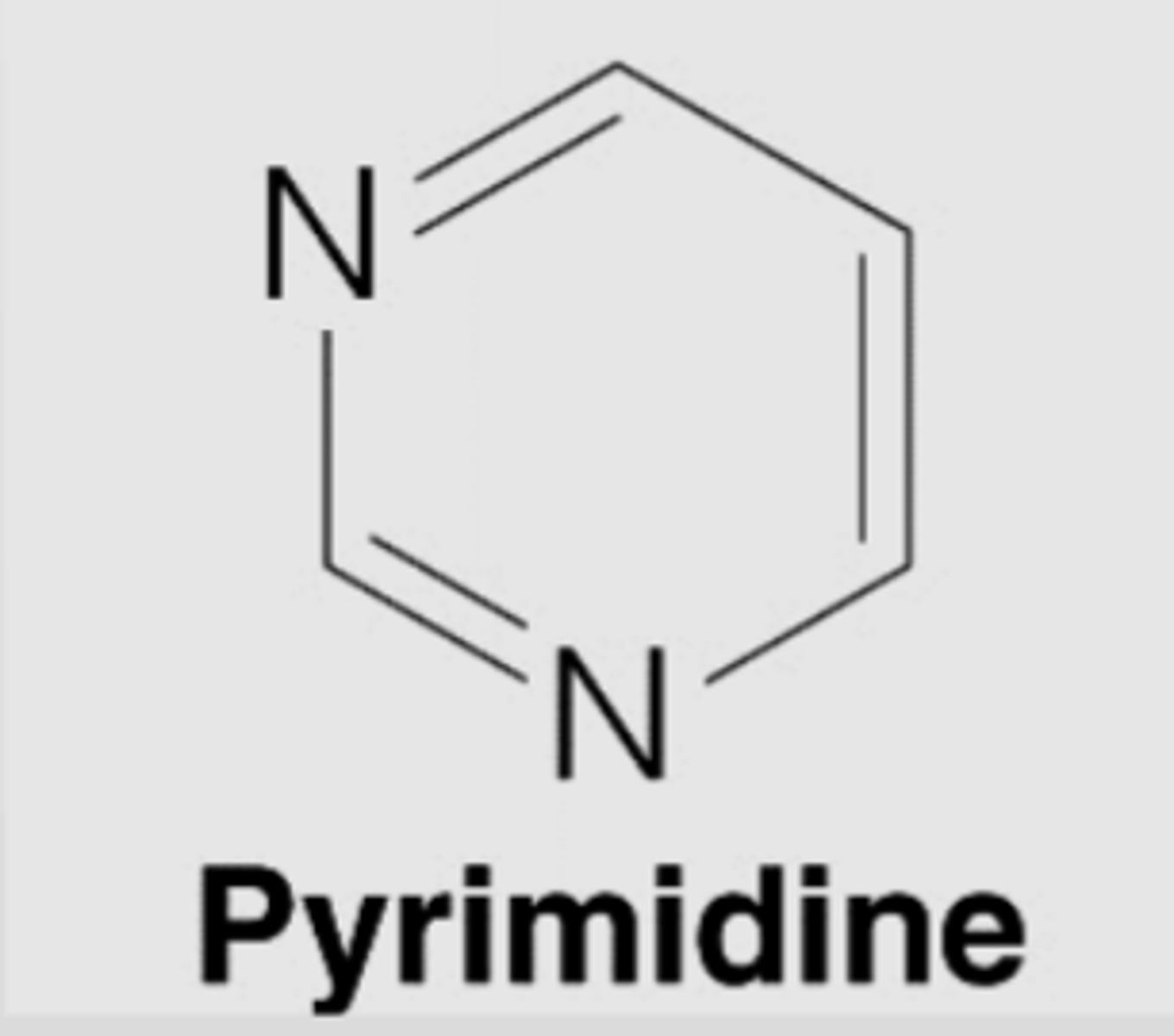 <p>single ringed</p>