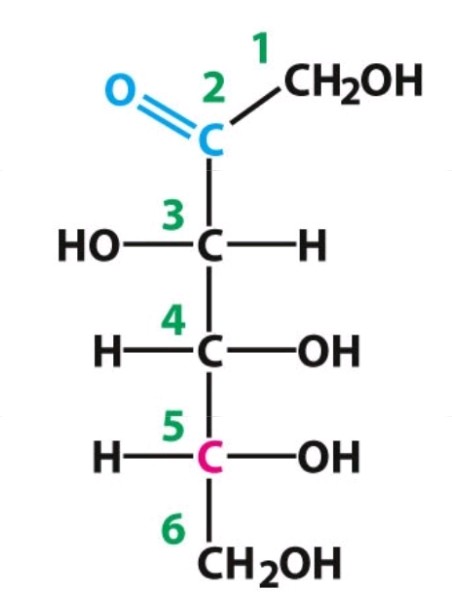 <p>D-Fructose</p><p>Ketose </p>