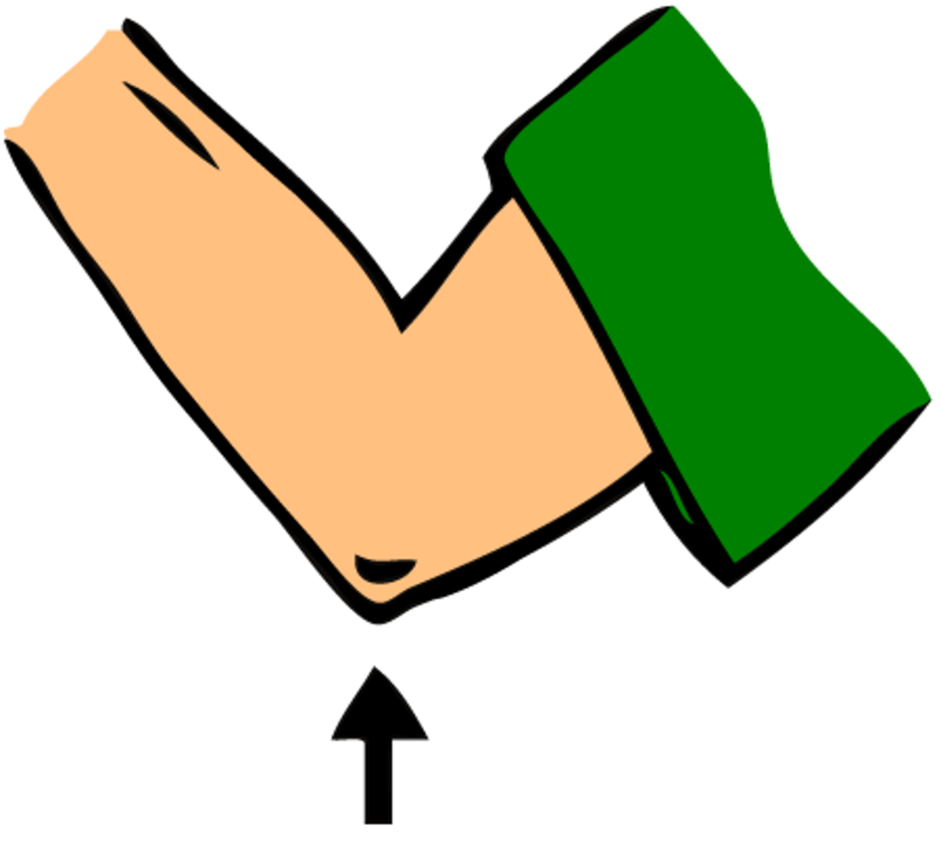 <p>the part in the middle of the arm</p>