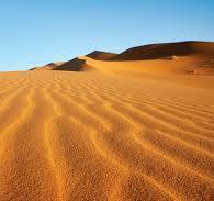 <p>The desert </p>