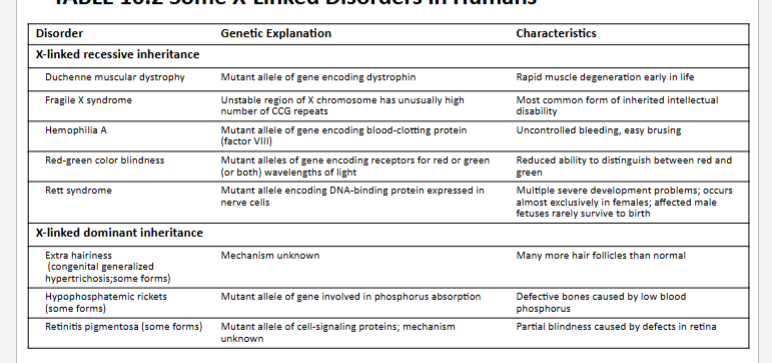 <p>x linked disordersq</p>