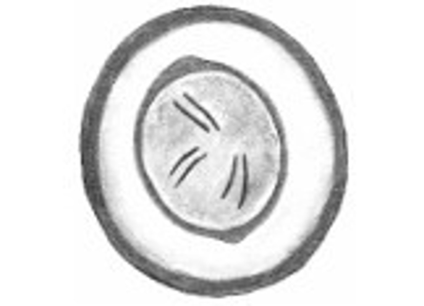 <p>Identify the parasite</p>