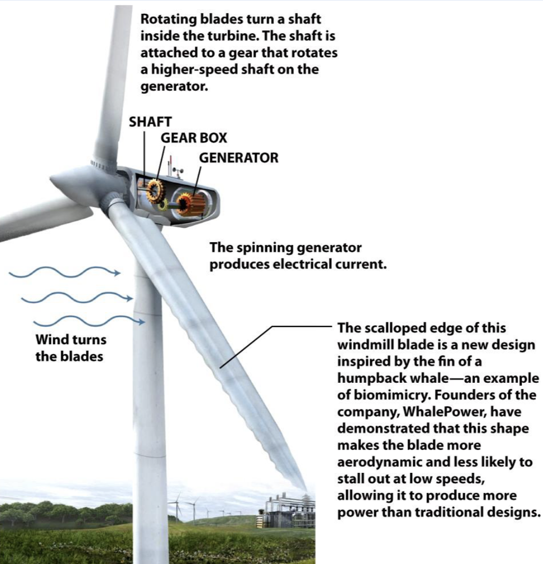 <p>The design and production of materials, structures, and systems that are modeled on biological entities and processes.</p>